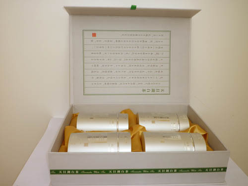 江蘇：溧陽(yáng)白茶全方位開(kāi)采